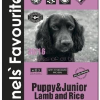 Kennels' Favourite Puppy & Junior Lamb and Rice 12,5 kg kép