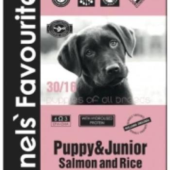 Kennels' Favourite Puppy & Junior Salmon and Rice 12,5 kg kép