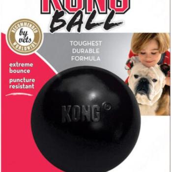 KONG Extreme Ball M/L kép