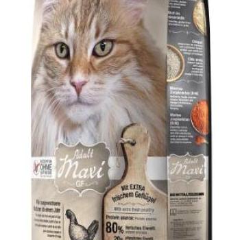 Leonardo Adult Maxi GF 15 kg kép