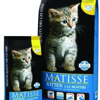 Matisse Kitten 400 g kép