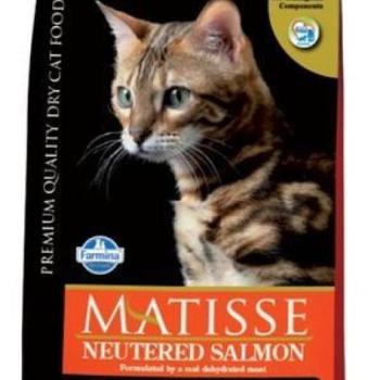 Matisse Neutered salmon 400 g kép