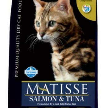 Matisse Salmon & tuna 1,5 kg kép