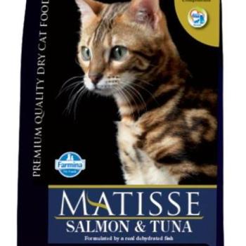 Matisse Salmon & tuna 400 g kép