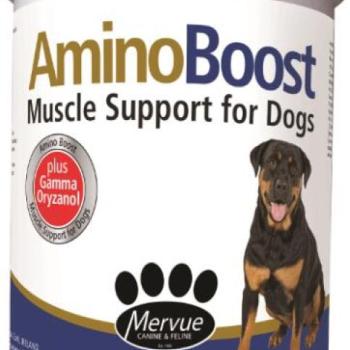 Mervue AminoBoost 700 g kép