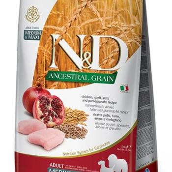 N&D Ancestral Grain Dog Adult Medium & Maxi Chicken & Pomegranate 12 kg kép