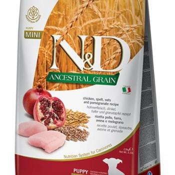 N&D Ancestral Grain Dog Puppy Mini Chicken & Pomegranate 2,5 kg kép