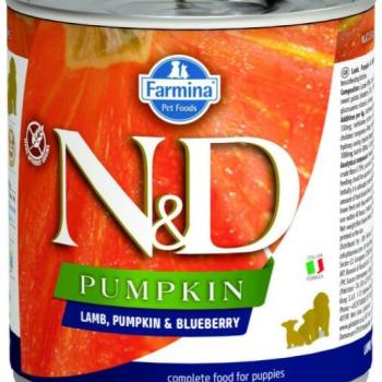 N&D Grain Free Dog Puppy Lamb&Blueberries With Pumpkin 285 g kép