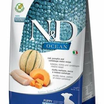 N&D Ocean Puppy Mini Cod & Pumpkin & Cantaloupe melon 0,8 kg kép