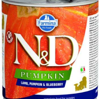 N&D Pumpkin & Blueberry 285 g kép