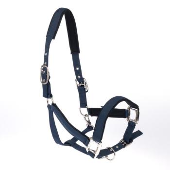 Nomad Tales kötőfék neoprén párnázással, tengerészkék lovaknak - Póni kép