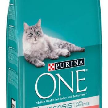 ONE Adult salmon 9,75 kg kép