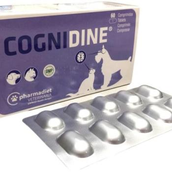 OPKO Cognidine idegrendszer támogató tabletta 60 db kép