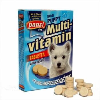 Panzi Multivitamin 100 db kép