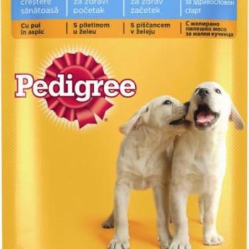 PEDIGREE Junior Chicken 100 g kép