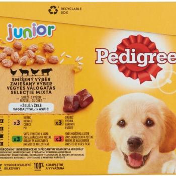 PEDIGREE Junior Mix 12x100 g kép