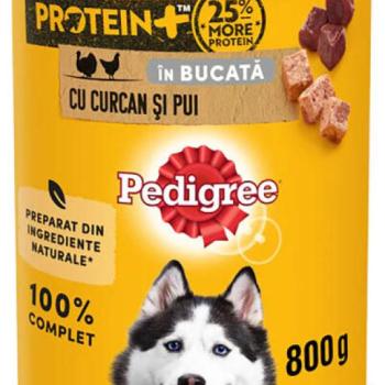 PEDIGREE Turkey & Chicken 800 g kép