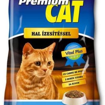 Premium Cat Fish Dry Food 1 kg kép