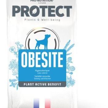 Pro-Nutrition Flatazor Protect Obesite 12 kg kép