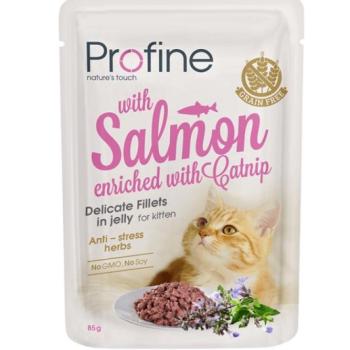 Profine Kitten Fillets in Jelly - lazac 80 g kép