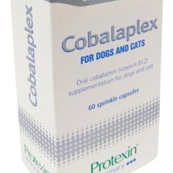 Protexin Cobalaplex kapszula 60 db kép