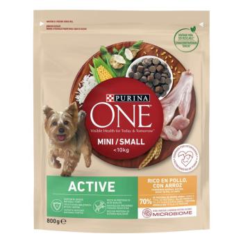 Purina ONE Mini Active száraz kutyaeledel - csirke 800 g kép