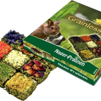 Rágcsálóknak kép