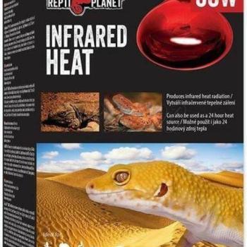 Repti Planet Infrared Heat 50W kép