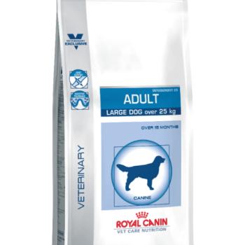 Royal Canin Adult Large Dog 13 kg kép