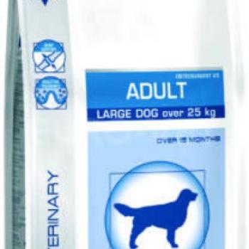 Royal Canin Adult Large Dog 4 kg kép