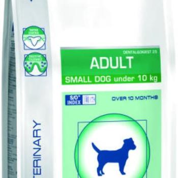 Royal Canin Adult Small Dog 8 kg kép