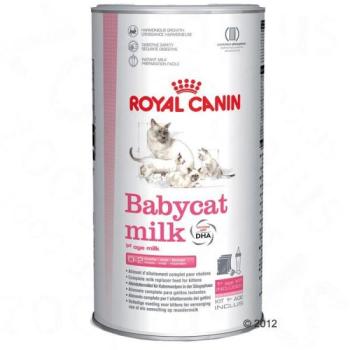 Royal Canin BabyCat Milk 300 g kép