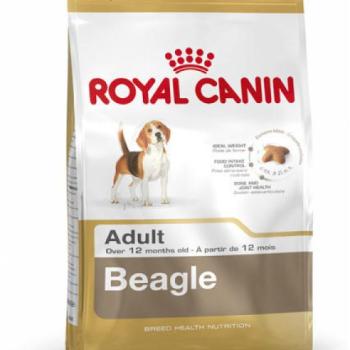 Royal Canin Beagle Adult 12 kg kép