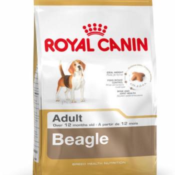 Royal Canin Beagle Adult 3 kg kép