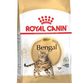 Royal Canin Bengal Adult 10 kg kép