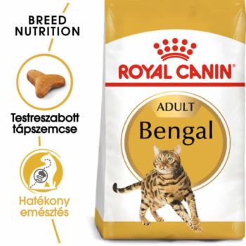 Royal Canin Bengal Adult 2 kg kép