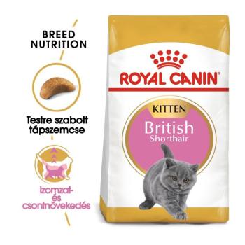 Royal Canin British Shorthair Kitten - Brit rövidszőrű kölyök macska száraz táp 2 kg kép