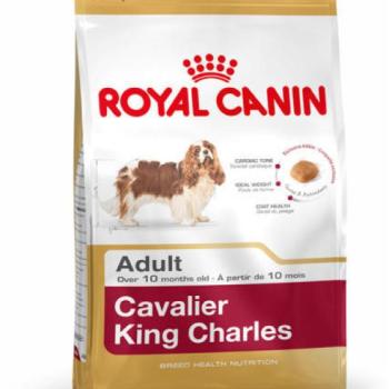 Royal Canin Cavalier King Charles Adult 1,5 kg kép