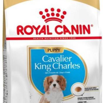 Royal Canin Cavalier King Charles Junior 1,5 kg kép