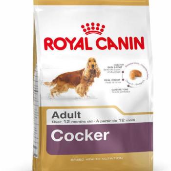 Royal Canin Cocker Adult 3 kg kép