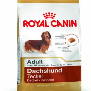 Royal Canin Dachshund Adult 0,5 kg kép