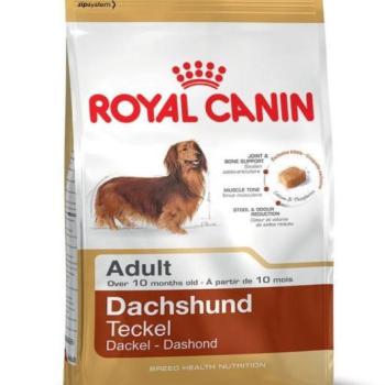 Royal Canin Dachshund Adult 1,5 kg kép