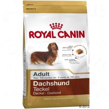 Royal Canin Dachshund Adult 7,5 kg kép