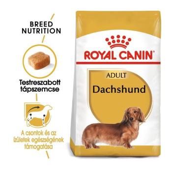 Royal Canin Dachshund Adult - Tacskó felnőtt kutya száraz táp 0,5 kg kép