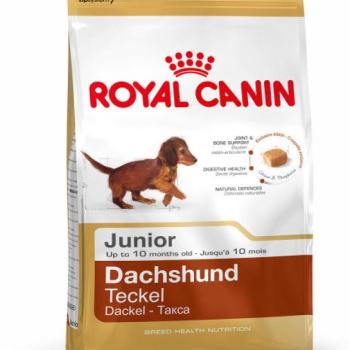 Royal Canin Dachshund Junior 1,5 kg kép