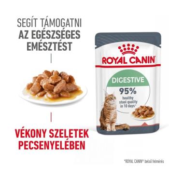 Royal Canin Digestive Care - szószos nedves táp érzékeny emésztésű felnőtt macskák részére 12 x 85 g kép