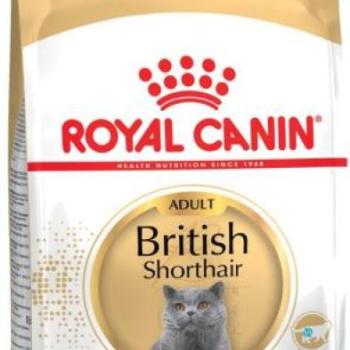 Royal Canin FBN Adult British Shorthair 34 10 kg kép