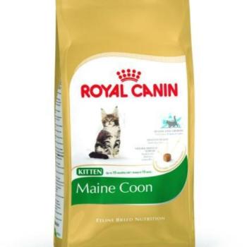 Royal Canin FBN Kitten Maine Coon 36 4 kg kép