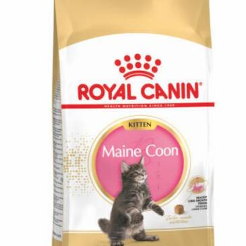 Royal Canin FBN Kitten Maine Coon 36 400 g kép