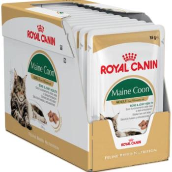 Royal Canin FBN Maine Coon 12x85 g kép